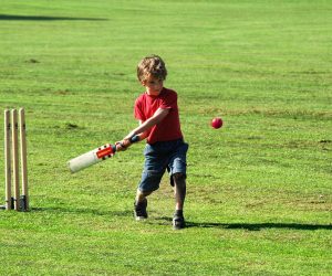 Boy,Playing,Cricket boy playing cricket